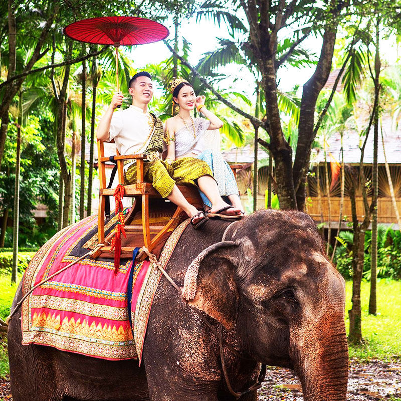 【纯玩私家团】云南西双版纳旅游野象谷花卉园傣族园5天4晚告庄