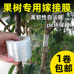 Special Film for Fruit Tree Grafting, Wrapping Film, Pe No-Disassembly Grafting Film, Tree Grafting Film, Frame Grafting Film, Adhesive Film, Self-Adhesive Film, Thin Film