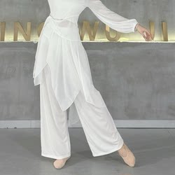 Modern Dance Classical Dance Practice Dance Pants Skirt for Women, Loose New Style Performance Clothing, Classical Dance Flowing Spliced Wide-Leg Pants