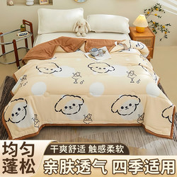 Summer Air-Conditioning Quilt, Summer Cooling Quilt, Machine Washable Quilt, Summer Quilt, Dormitory Single Quilt Core, Non-Pure Cotton, New Model