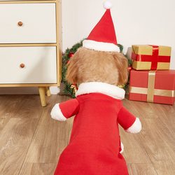 Santa Claus Dog Pet Clothes Autumn and Winter Cat Pet Clothing Teddy Small Dog Transformation Clothes