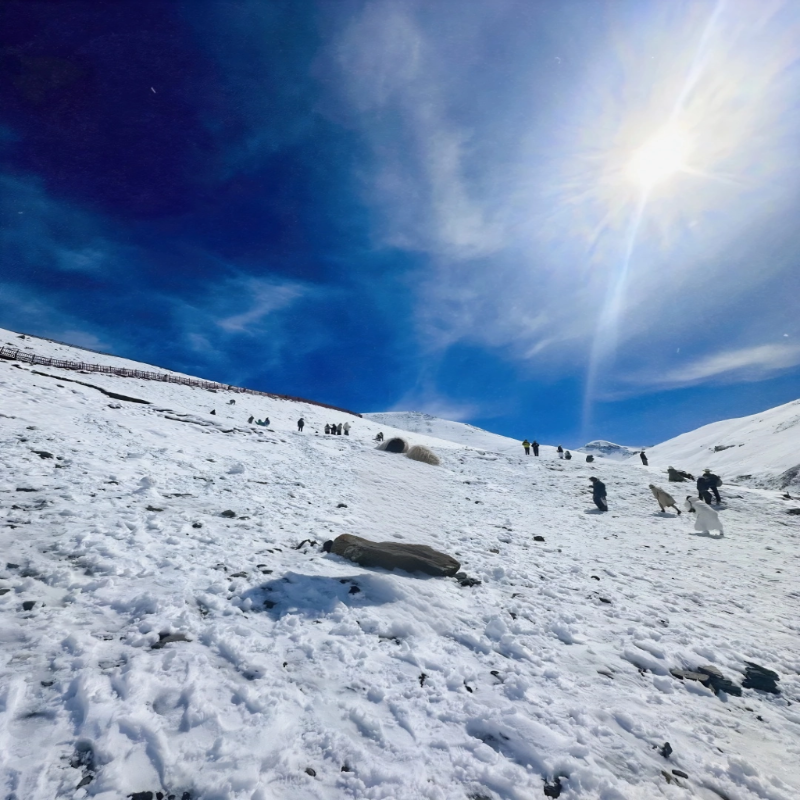 【西藏全景7天】西藏旅游珠峰大本营羊湖纳木错扎西半岛7天6晚
