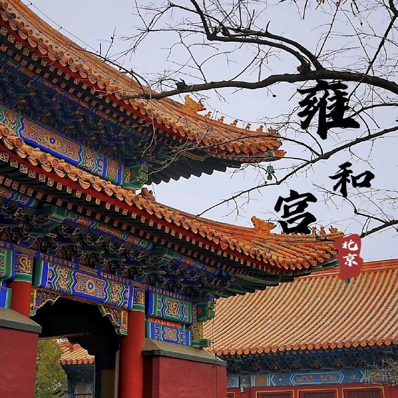 当日可定北京雍和宫一日游金牌导游讲解/讲述龙潜福地