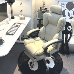 Computer Chair, E-Sports Office Ergonomics, Sedentary and Comfortable Boss Chair, Dormitory College Student Study Desk Chair