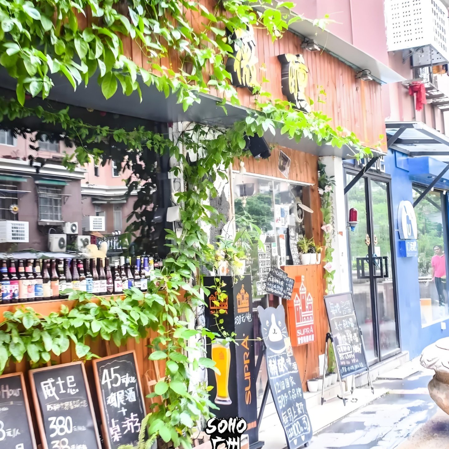 厦门鼓浪屿+环岛路+帆船出海+植物园+闽南传奇+云水谣土楼5日游