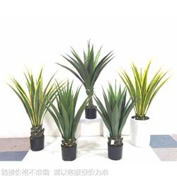 Nordic ins simulation green plants tropical plants agave sisal potted living room decoration landscaping ornaments fake trees