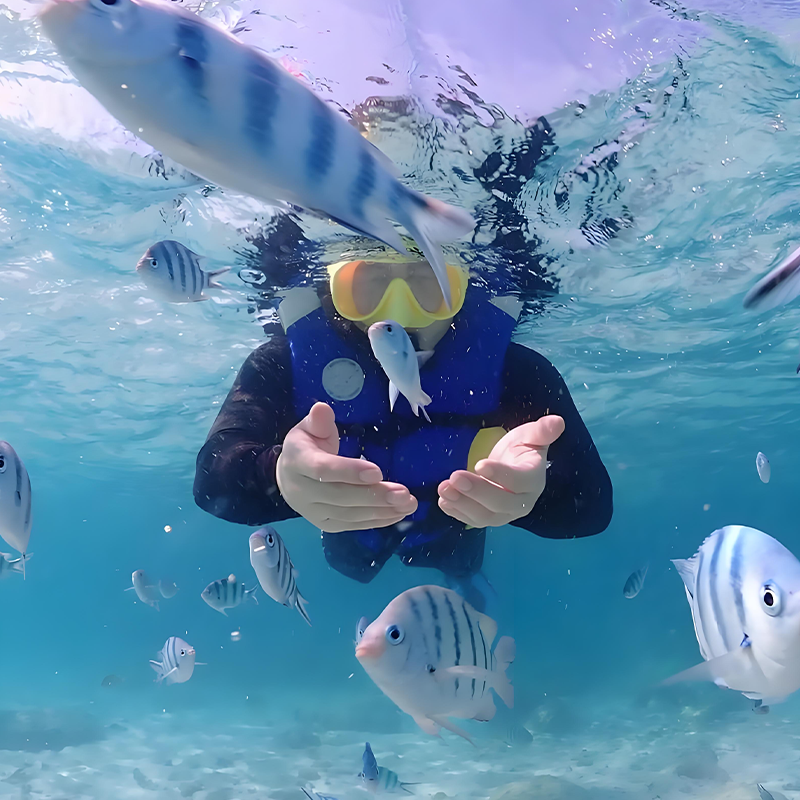 三亚百福岛太阳湾一日游玻璃海果冻海DSD快艇出海浮潜魔毯拍照