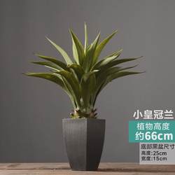 Nordic large-scale simulated plant potted tropical fake green plants living room floor bonsai interior decoration decoration home products