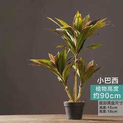 Nordic large-scale simulated plant potted tropical fake green plants living room floor bonsai interior decoration decoration home products