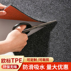 Cuttable Entrance Door Mats, Free Carpeting, Non-Slip Kitchen Door Mats for Home Use, Stain-Resistant at the Front Door
