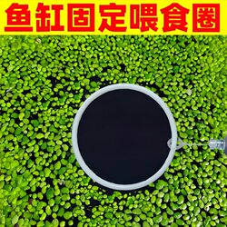 Fish Tank Feeder Prevents Food from Spreading, Provides Fish Food, and Prevents Food from Floating Away