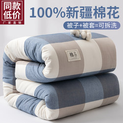 Xinjiang Pure Cotton Quilt, Winter Quilt, Removable and Washable Quilt Cover, Thickened Warm All-Cotton Pad, Quilt Core, Cotton Batting, Spring and Autumn Quilt