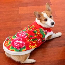 Corgi Pet Outdoor New Year Peony Pattern Large Floral Coat Autumn and Winter Fleece Warm Clothing for Small, Medium, and Large Dogs