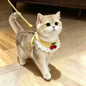 遛猫牵引绳胸背带猫咪链子小型犬网红宠物金渐层布偶幼犬牵猫绳