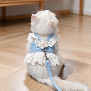 猫咪牵引绳可爱JK风猫狗通用胸背带可调节防挣脱夏季出行公主裙