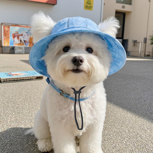 
Puppy sun protection hat Teddy Bichon summer fisherman hat dog hat with exposed ears small dogs special outdoor sunshade
