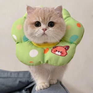 猫咪伊丽莎白圈驱虫绝育头套宠物防咬软圈小型犬防舔项圈防水脖套