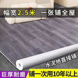 2.5m Wide Imitation Ceramic Tile Fire-Resistant and Flame-Retardant Floor Mat for Direct Laying on Cement Floor, Thickened and Wear-Resistant for Home Use 3m Pvc Mat
