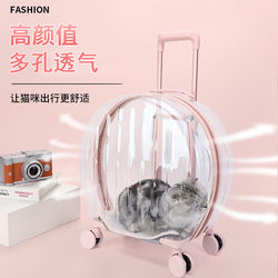 Mopet Direct Supply Pet Cat Carrier Trolley Case Transparent Cat Bag Portable Cat Handbag Transparent Airline Carrier