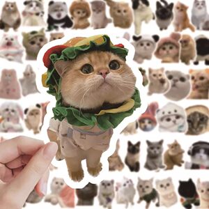 60 cute kitten stickers ins
