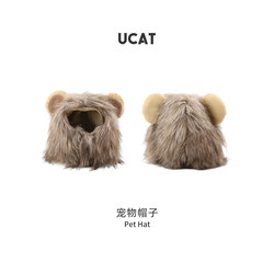 The pet hat lion transforms into a dog and cat in autumn and winter