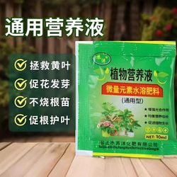 Nutrient solution bagged water-soluble universal household concentrated flower fertilizer tulip green basket hydroponic plant nutrient solution