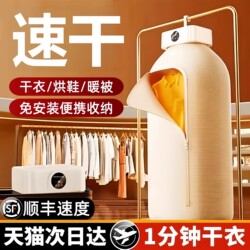 Dryer for Home Use, Small 2025 New Model, Portable Wardrobe-Style for Dormitories, Baby Clothes Disinfection Dryer