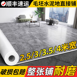 3m Wide Carpet Floor Mat for Bedroom, Large Area, Washable, Non-Slip, Suitable for Home Use, Can Be Directly Laid on Cement Floor