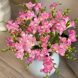 Imported alyssum bulbs are easy to grow and grow small