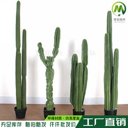 Simulated green plants, large succulent plants, simulated cactus potted plants, artificial fake plants, cactus column combinations