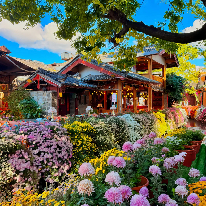 海景房+0自费+12人小团云南旅游昆明大理丽江玉龙雪山洱海6天5晚