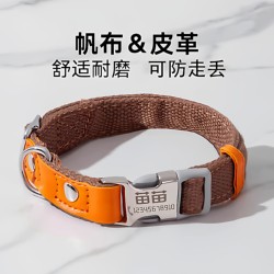 Pet Dog Collar with Engraving to Prevent Loss, Dog Tag Collar for Small, Medium, and Large Dogs, Golden Retriever, Teddy Neck Collar Supplies