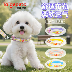 Dog Collar for Small Dogs, Teddy, Bichon, Pet Leash, Medium-Sized Dogs, Corgi, Shiba Inu Neck Collar