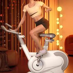 German Imported Fitness Equipment Gym Indoor Sports Weight Loss Silent Aerobics Exercise Spinning Bicycle Home Model