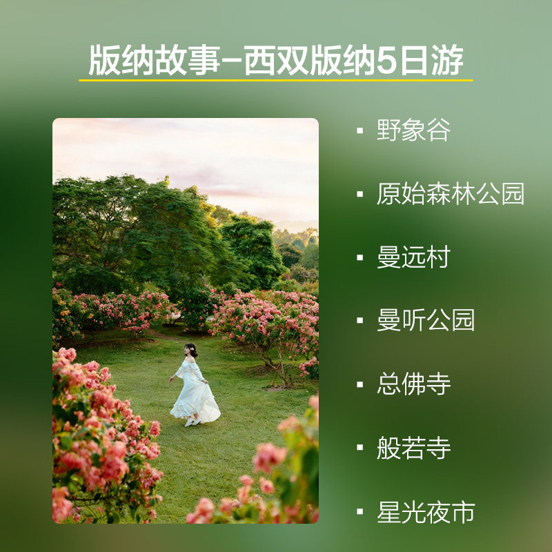 私家小团云南5日游西双版纳野象谷中科院植物园星光夜市5日安4晚