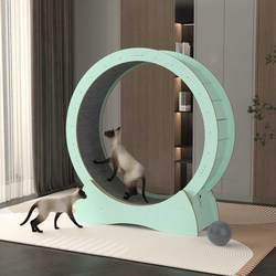 Pet Accessories Cat Treadmill Special Offer Cat Running Wheel Silent Exercise Fitness Large Cat Climbing Frame Cat Toys