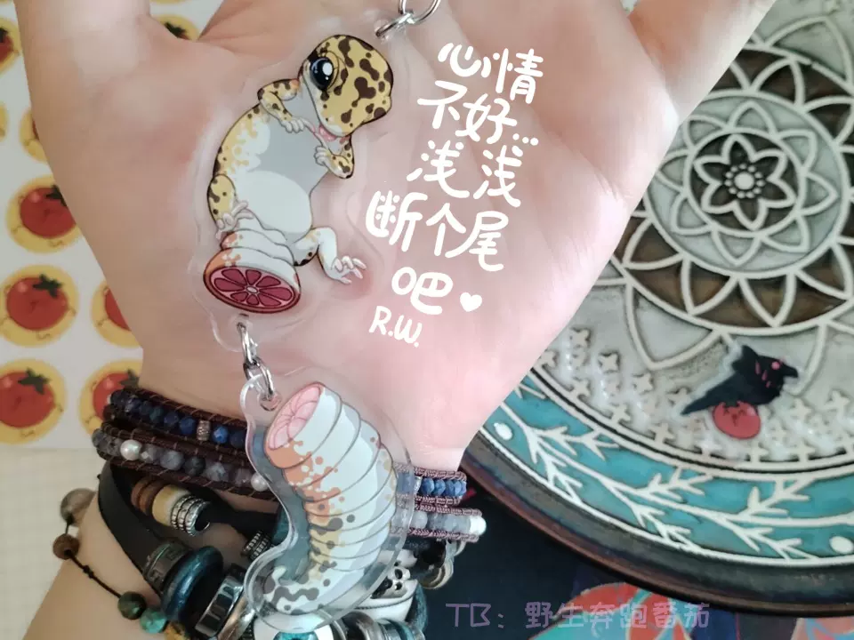 蜥蜴の迷宮 蜥蜴の迷宮 - メルカリ