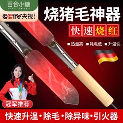 Electric Pig Hair Removal Iron for Home Use, Small Size, Stainless Steel, for Burning Pig Hair from Pig Feet, Pig Legs, and Pig Trotters