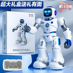 German intelligent robot bionic voice dialogue high-tech Bluetooth artificial remote control electric dancing boy toy