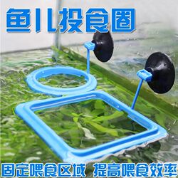 Fish Tank Feeder Anti-Drift Floating Feeding Ring Feeder Feeding Ring Fish Food Feeder Feeding Fish Feed Fixed