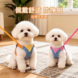 Dog Leash Vest-Style Harness for Small Dogs, Breathable and Adjustable, Suitable for Bichon, Pomeranian, and Teddy Pets