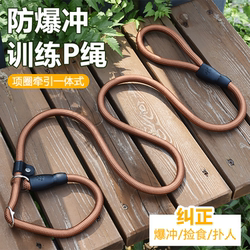 P Rope Dog Leash for Large, Medium, and Small Dogs, Outdoor Dog Walking Chain, Anti-Shock and Anti-Knot Pet Leash for Large Dogs