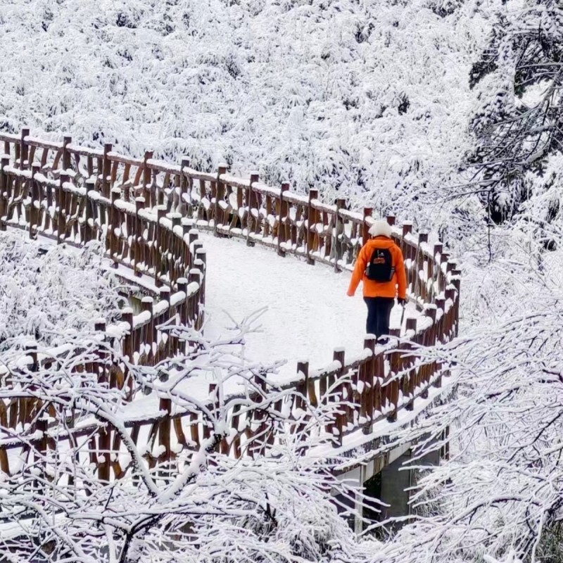 冰雪瓦屋山+柳江古镇+光明寺+乐山美食纯玩2日游·含往返索道
