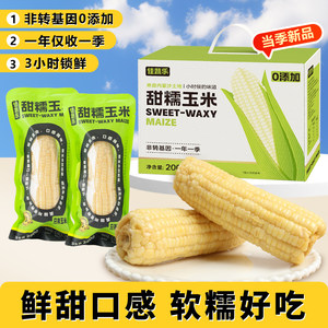 Jiauile sweet glutinous corn fresh now picks vacuum packaging Inner Mongolia sticky corn non -rotor
