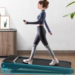 Treadmill for Home Use, Small Lifting Flat Treadmill, Indoor Silent, No Installation Required, Electric Lifting, Foldable and Portable