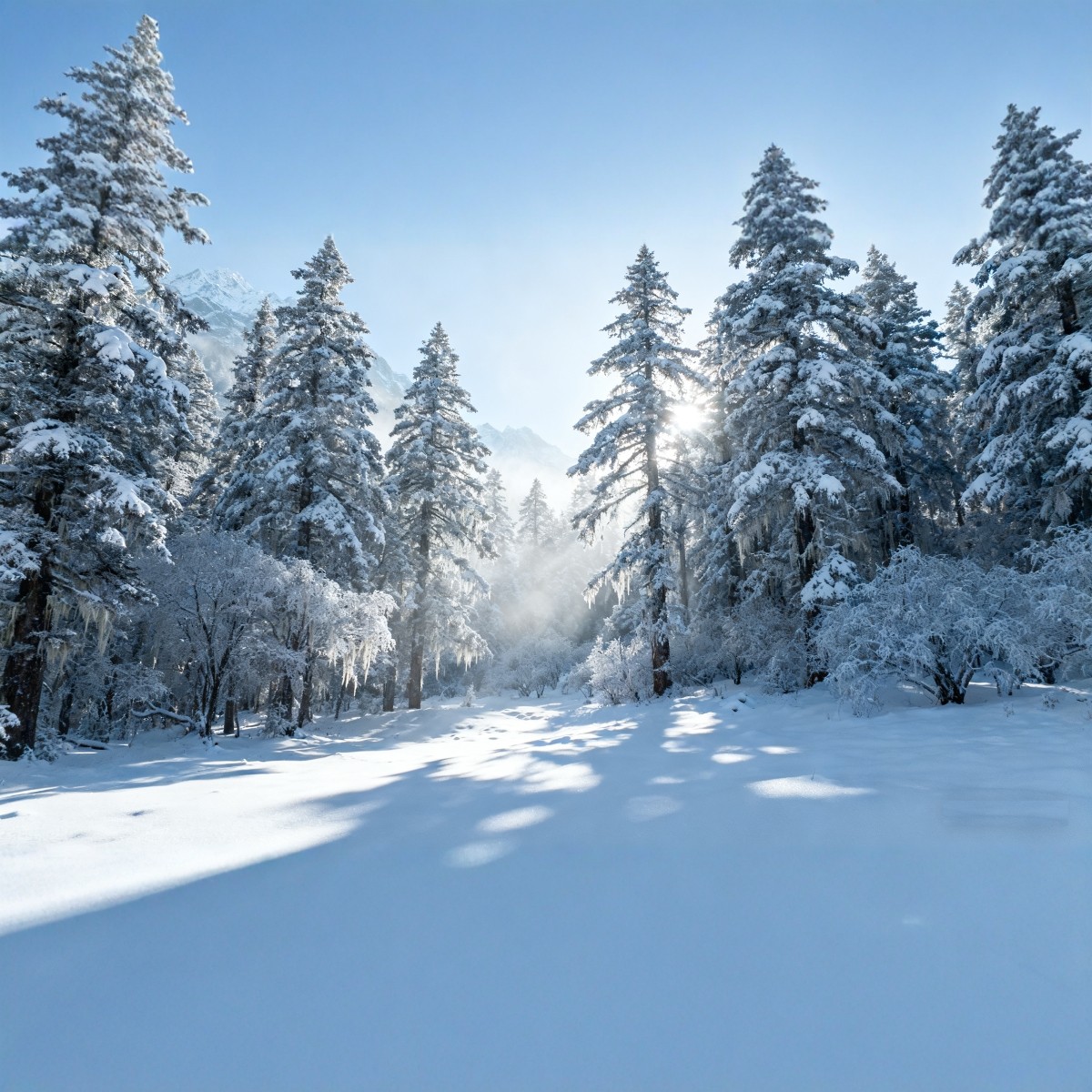 【明星同款】8人小团 丨成都出发稻城亚丁四姑娘山川西5天4晚纯玩