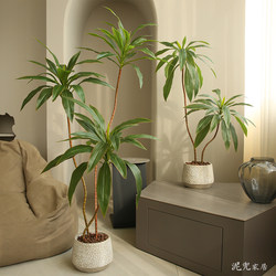 Artificial Green Leaf Calathea Fake Green Plant Potted Plant High-End Light Luxury Decorative Ornament Nordic Living Room Homestay Decoration Fake Tree