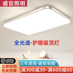 2025 New Led Ceiling Light for Room, Bedroom, Living Room, Hall, Modern Simple and Elegant Zhongshan Lighting Fixtures