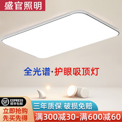 2025 New Led Ceiling Light Living Room Light Hall Modern Simple and Elegant Room Master Bedroom Light Eye Protection Lamp S