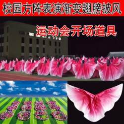 Creative Props for the Opening Ceremony of the Sports Games: Color-Changing Wings, Capes, Dance Props, and Special Props for School Campus Group Gymnastics